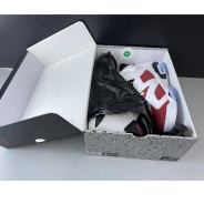 RETRO 6 JORDAN 2014 384664-160 'CARMINE' AIR 0813